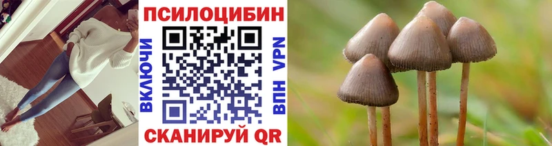 Псилоцибиновые грибы ЛСД  что такое наркотик  Перевоз 